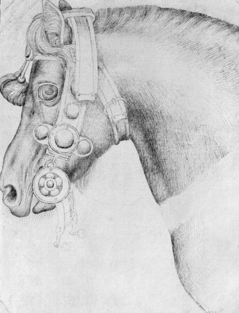 Detail of Head of a horse by Antonio Pisanello