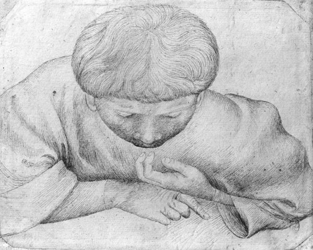Detail of Boy reading by Antonio Pisanello