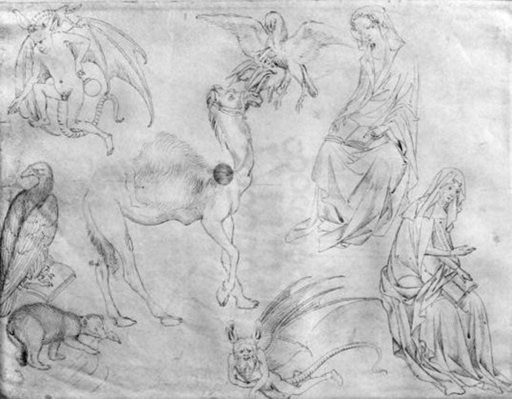 Detail of Sheet of studies by Antonio Pisanello