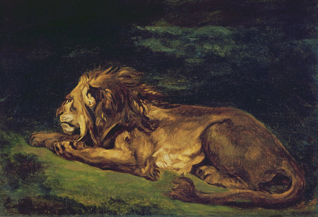 Detail of Lion Resting by Ferdinand Victor Eugene Delacroix