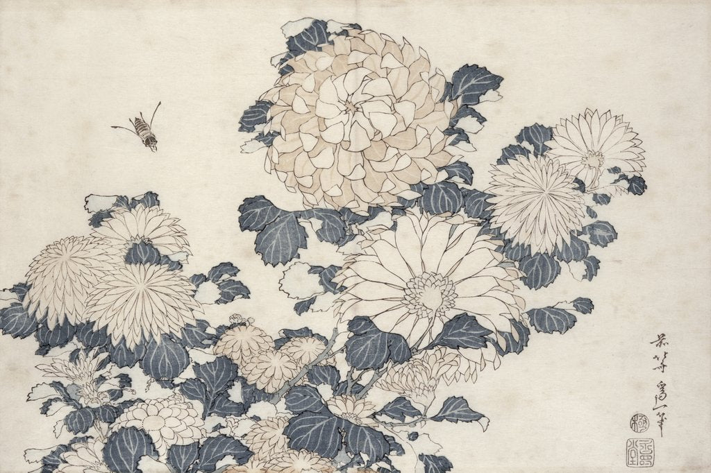 Detail of Bee and chrysanthemums by Katsushika Hokusai