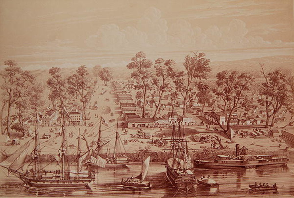 Detail of Town of Sacramento by French School