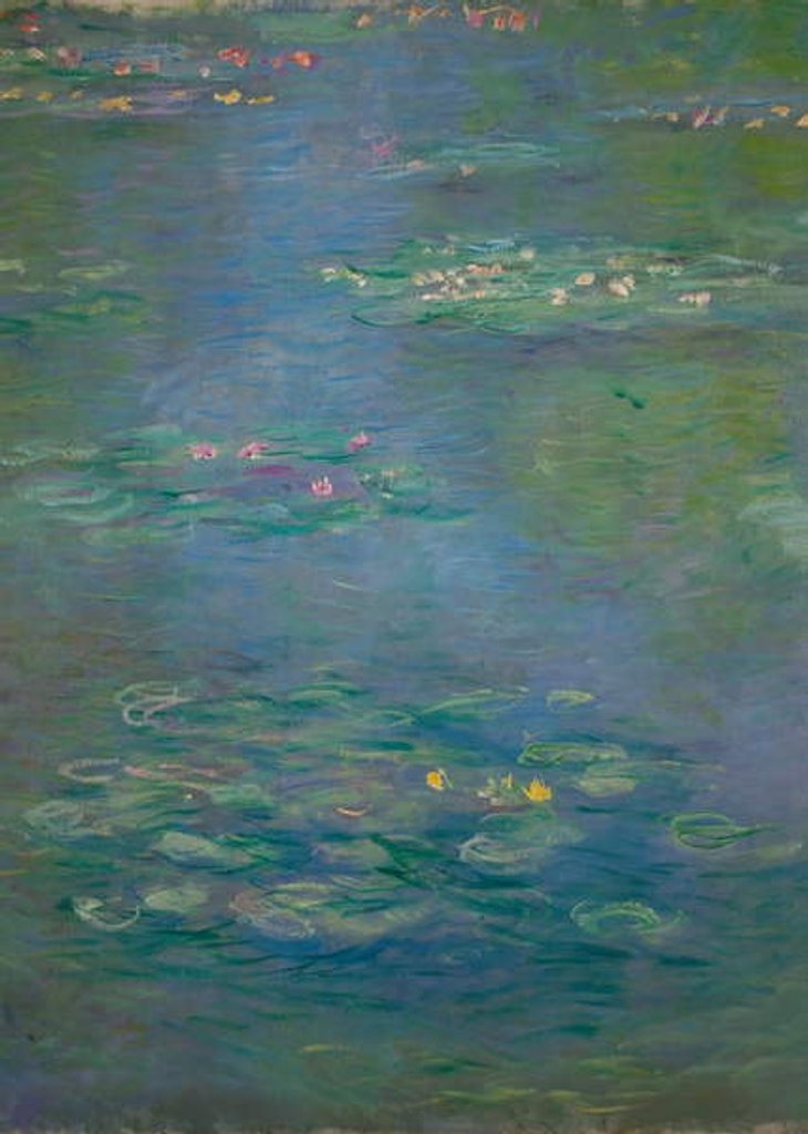 Detail of Waterlilies, detail, 1903 by Claude Monet
