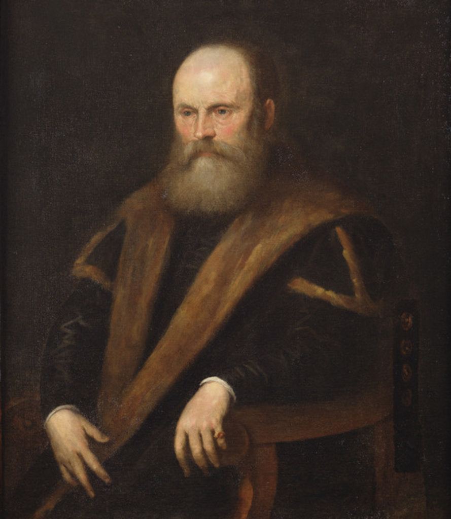 Detail of Portrait of a Venetian noble by Jacopo Robusti Tintoretto