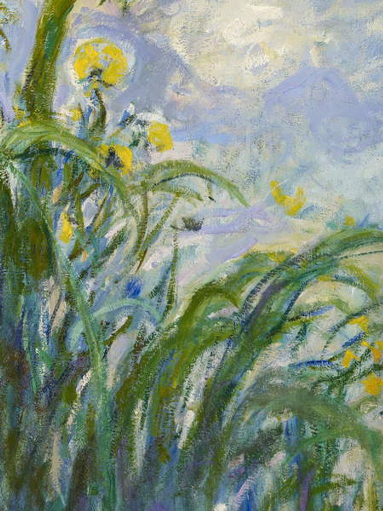 Detail of The Yellow Iris by Claude Monet