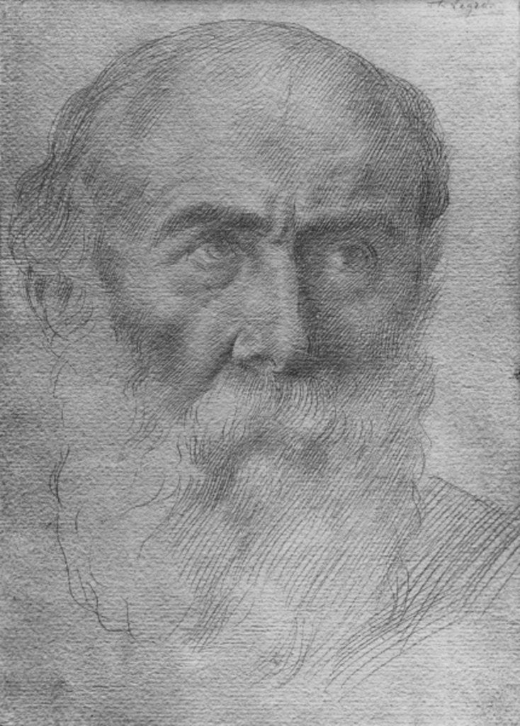 Detail of Head of a man by Alphonse Legros