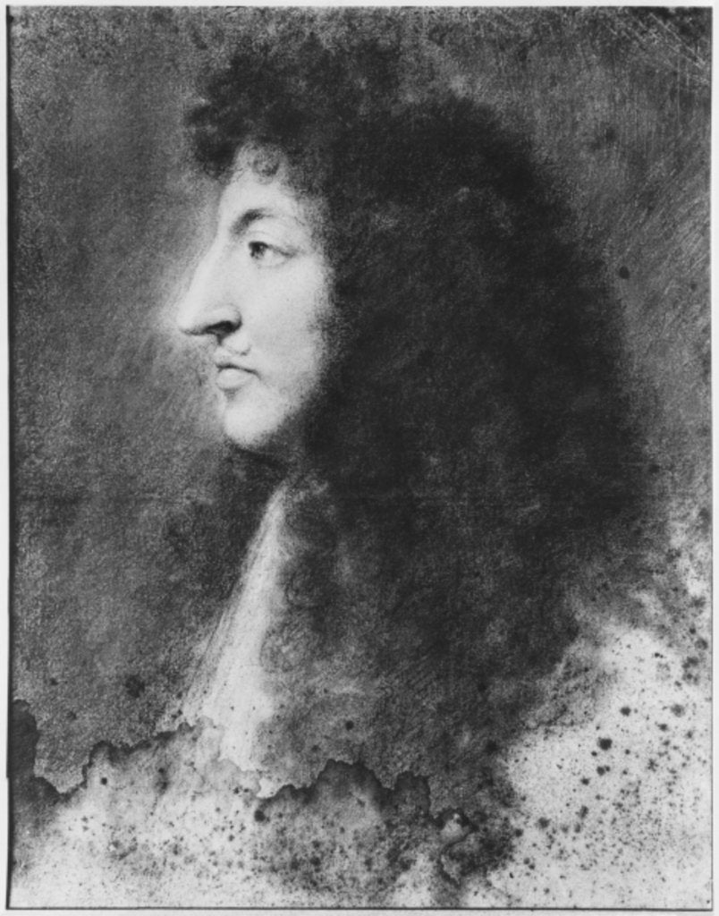Detail of Portrait of Louis XIV, young, in profile to the left by Charles Le Brun