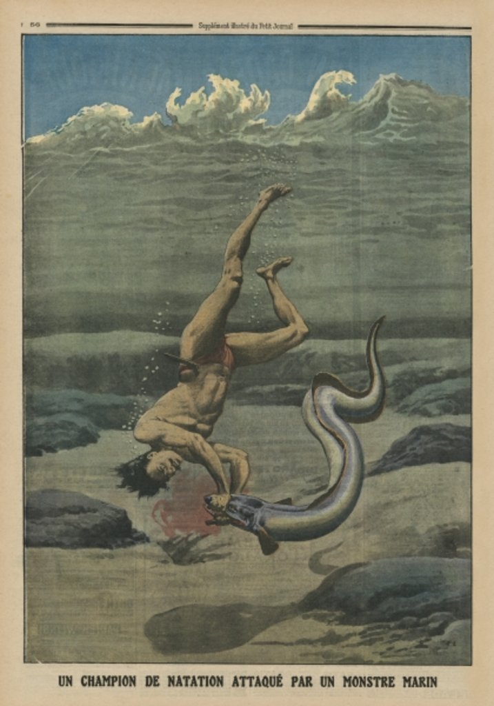 Detail of A swimming champion attacked by a sea monster by French School
