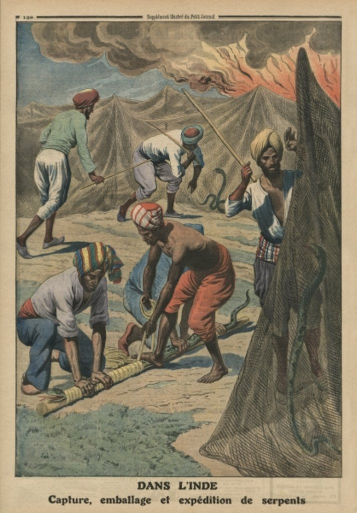 Detail of Catching, packing and sending snakes, India by French School