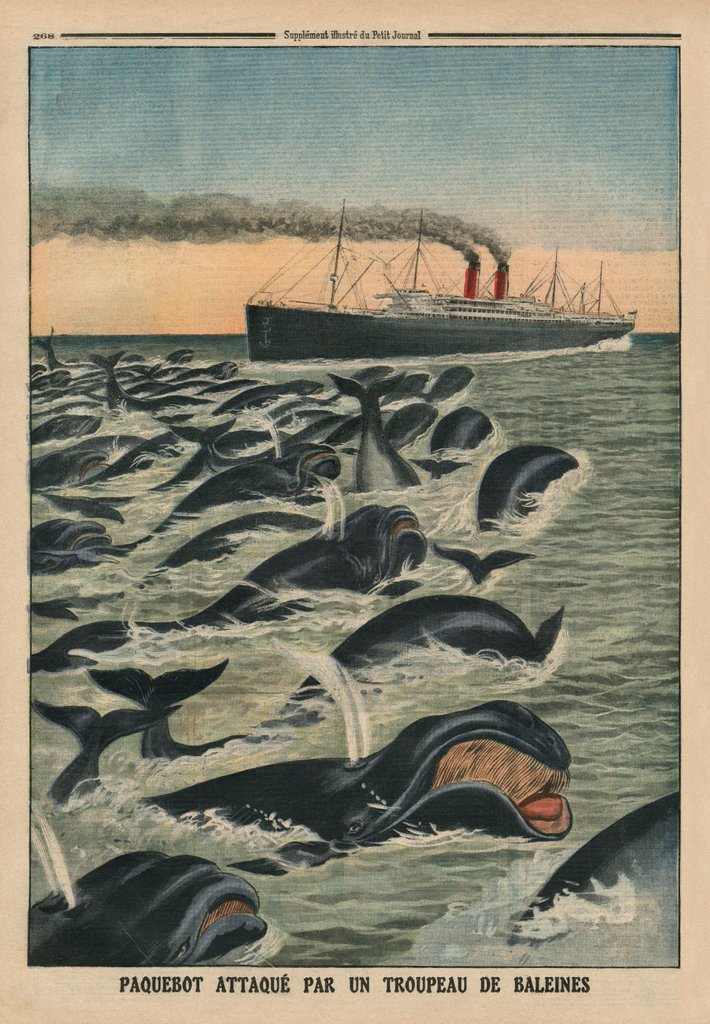 Detail of A shoal of whales attacking a liner by French School