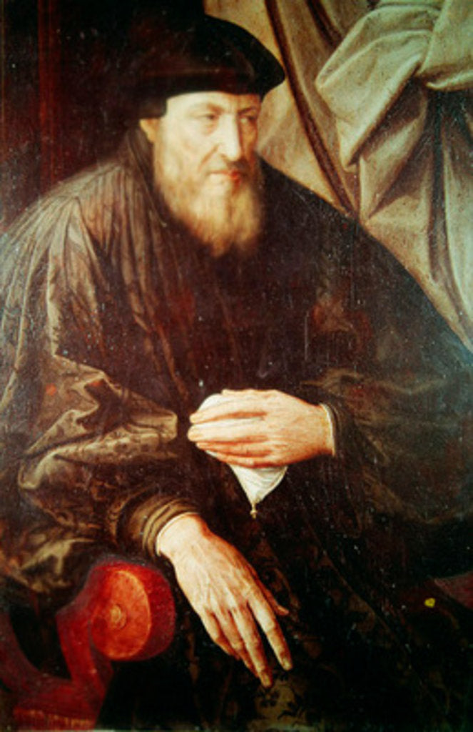 Detail of Portrait of Andrea Doria by Jan Massys