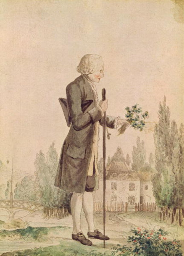 Detail of Jean-Jacques Rousseau Gathering Herbs at Ermenonville by French School