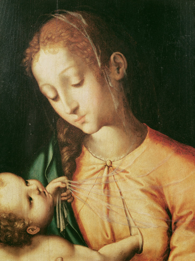 Detail of Virgin and Child by Luis de Morales
