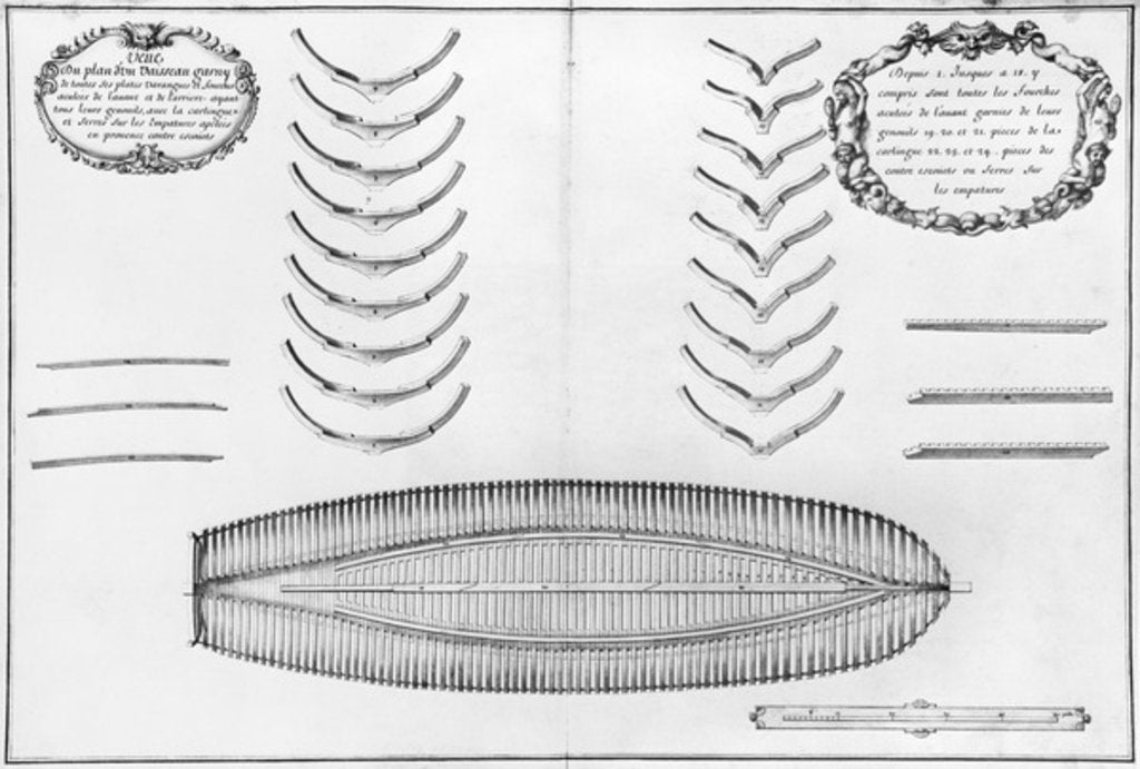 Detail of Plan of a vessel with all its floor plates and forks by French School