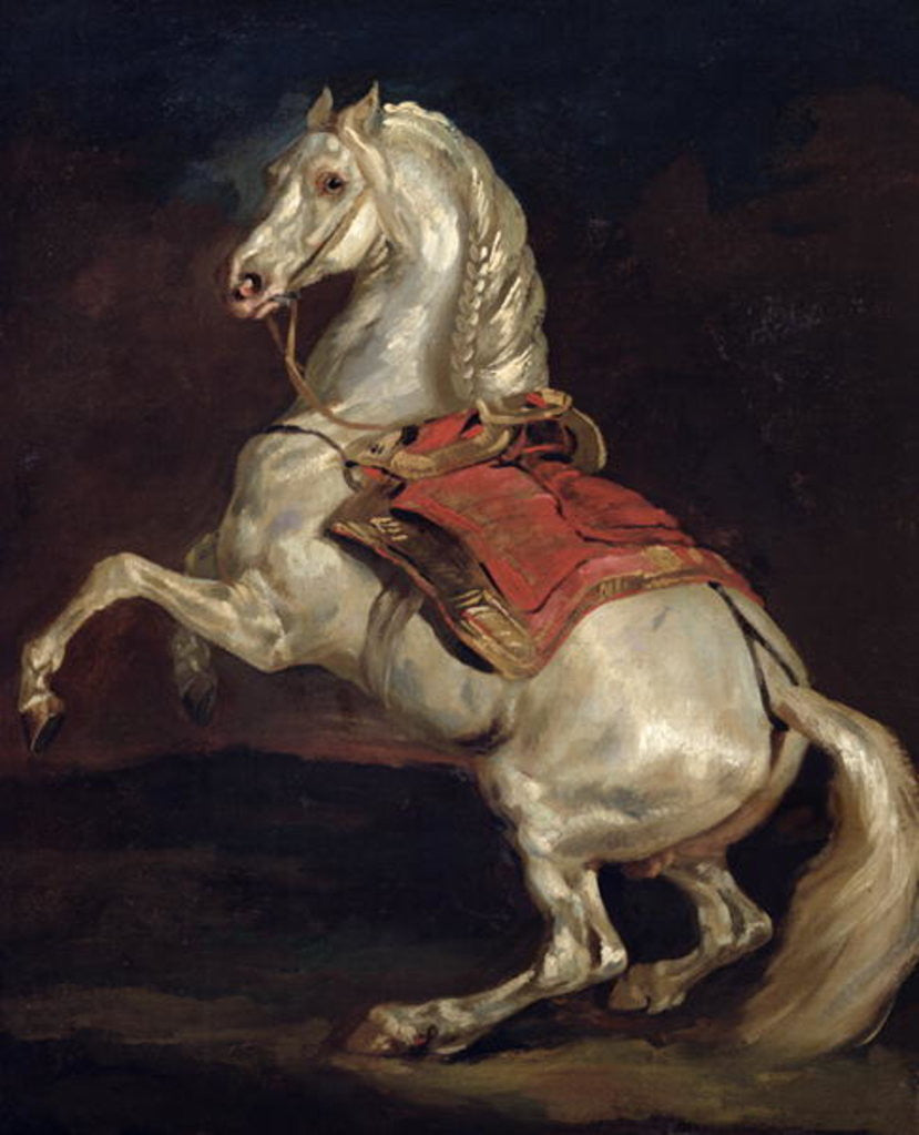 Detail of Napoleon's Stallion, Tamerlan by Theodore Gericault