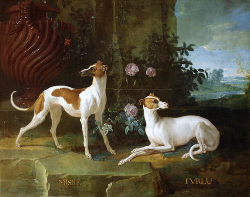 Detail of Misse and Turlu, two greyhounds of Louis XV by Jean-Baptiste Oudry