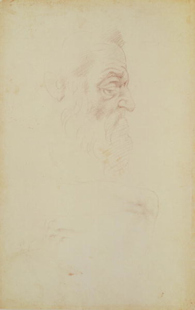 Detail of Sketch of a male head and two legs by Michelangelo Buonarroti
