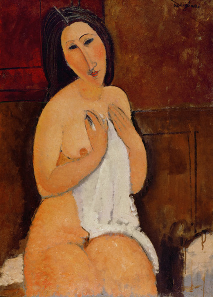 Detail of Seated Nude with a Shirt, 1917 by Amedeo Modigliani