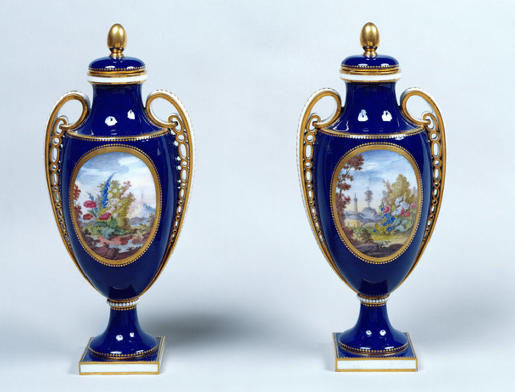 Detail of A Pair of Sèvres Vases with decorative floral medallions by French School