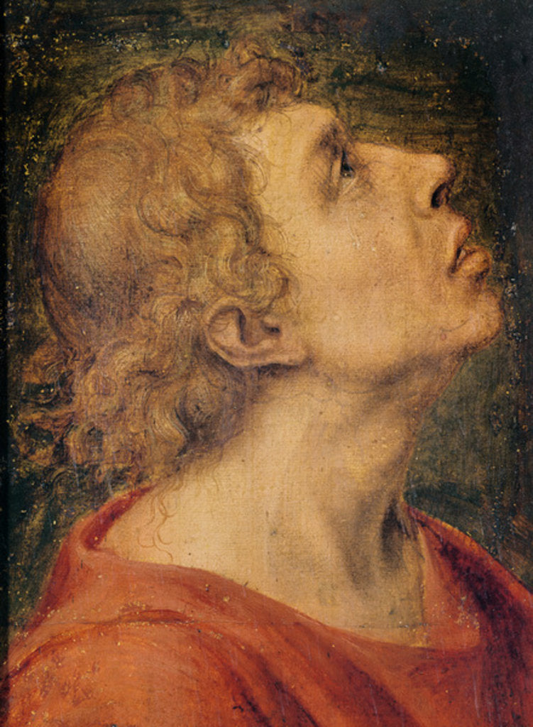 Detail of Saint John the Evangelist by Sebastiano del Piombo
