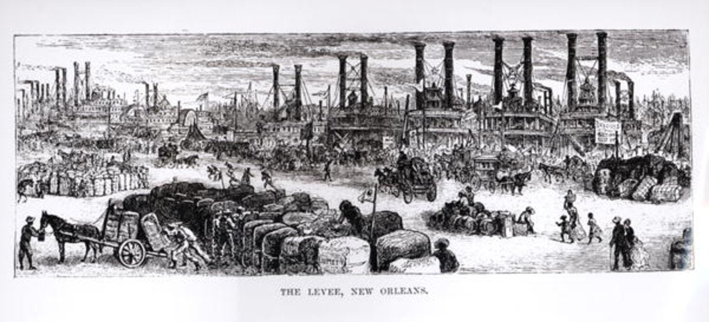 Detail of The Levee, New Orleans by American School
