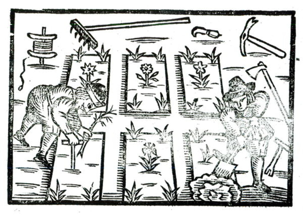 Detail of Illustration from a Book on Gardening by English School
