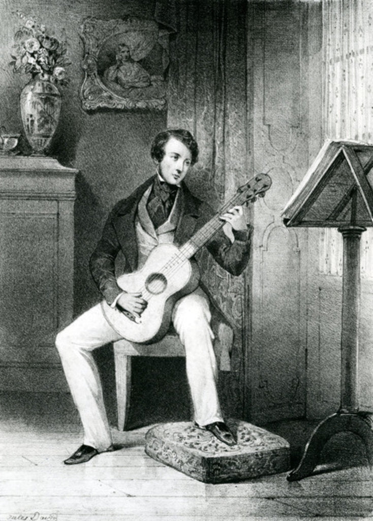 Detail of The Guitar player by Jules David