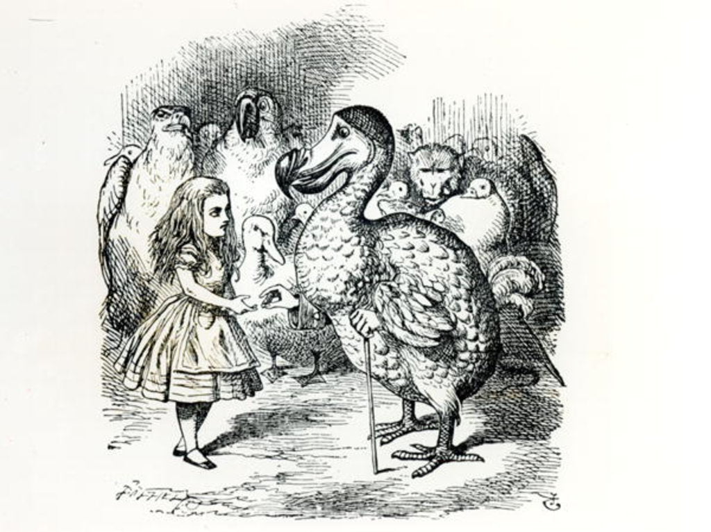 Detail of Alice meets the Dodo by John Tenniel