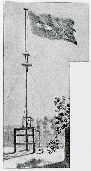 Detail of Mwanga's Flag by English School