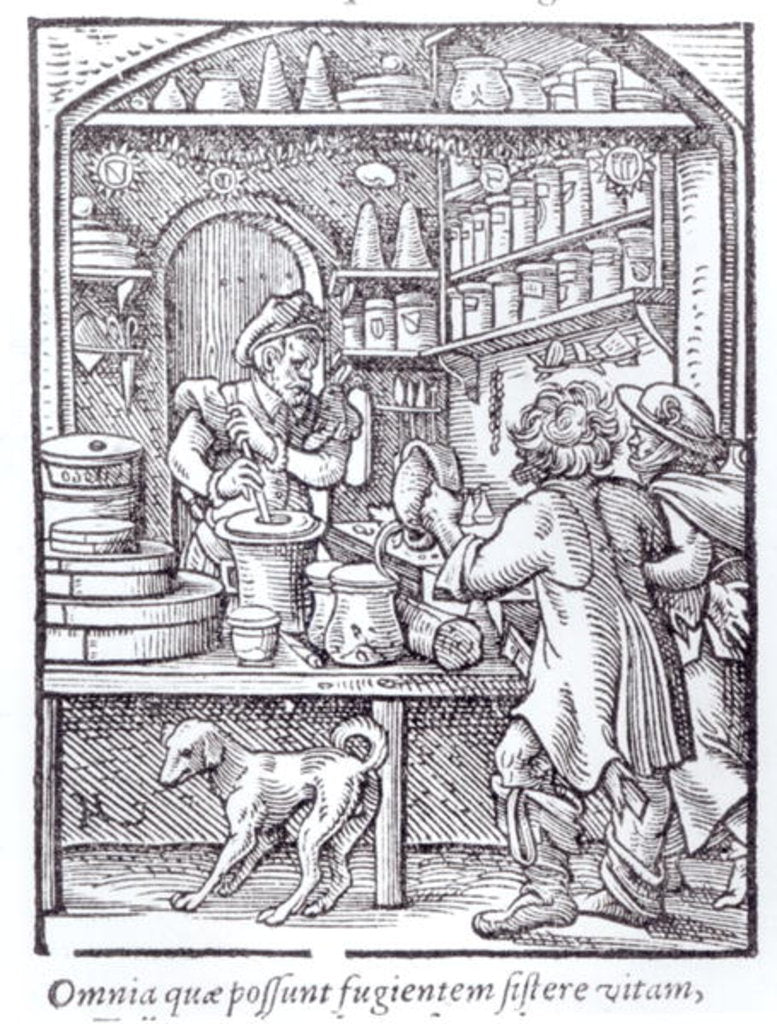 Detail of The Apothecary, published by Hartman Schopper by German School