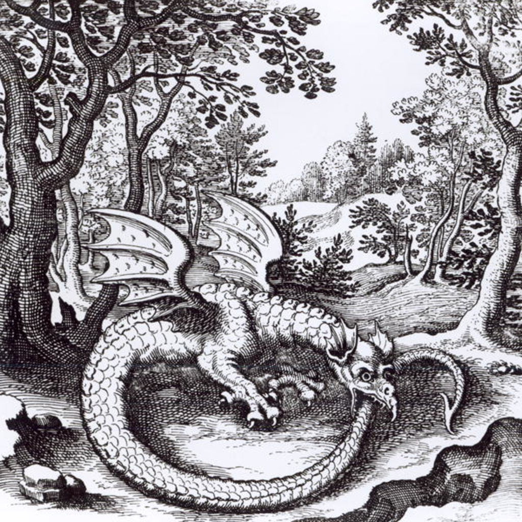 Detail of A Dragon in the Forest by School Russian