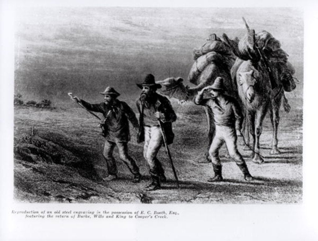 Detail of The Return of Burke, Wills, and King to Cooper's Creek, 1st March 1838 by Australian School
