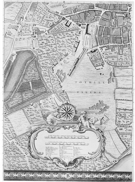 Detail of A Map of Tothill Fields, London by John Rocque