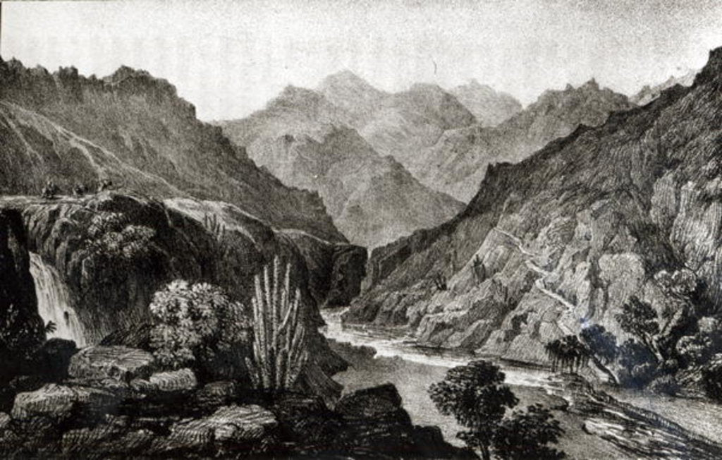 Detail of View in the Cordillera by John Miers