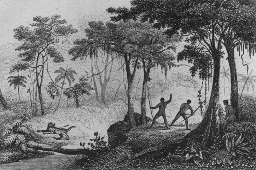 Detail of Jaguar Hunt by French School