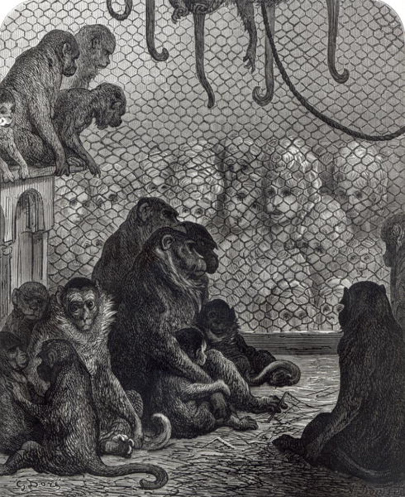 Detail of London Monkeys by Gustave Dore