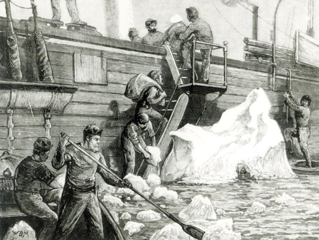 Detail of The Arctic Expedition Watering from an Iceberg by English School
