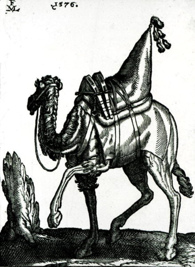 Detail of Camel by Melchior Lorck