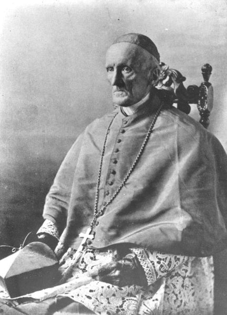 Detail of Portrait of Cardinal Manning by English Photographer