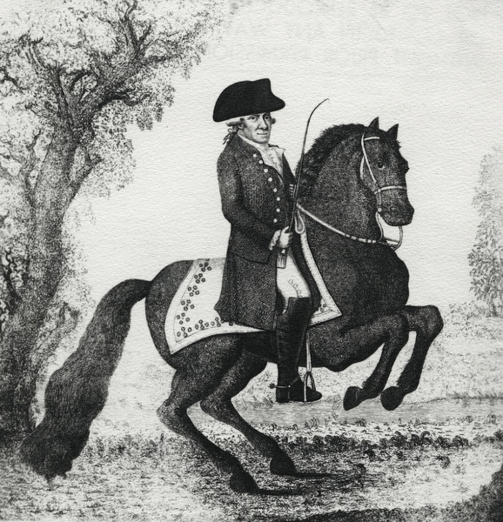 Detail of Angelo Tremamondo, 1788 by John Kay