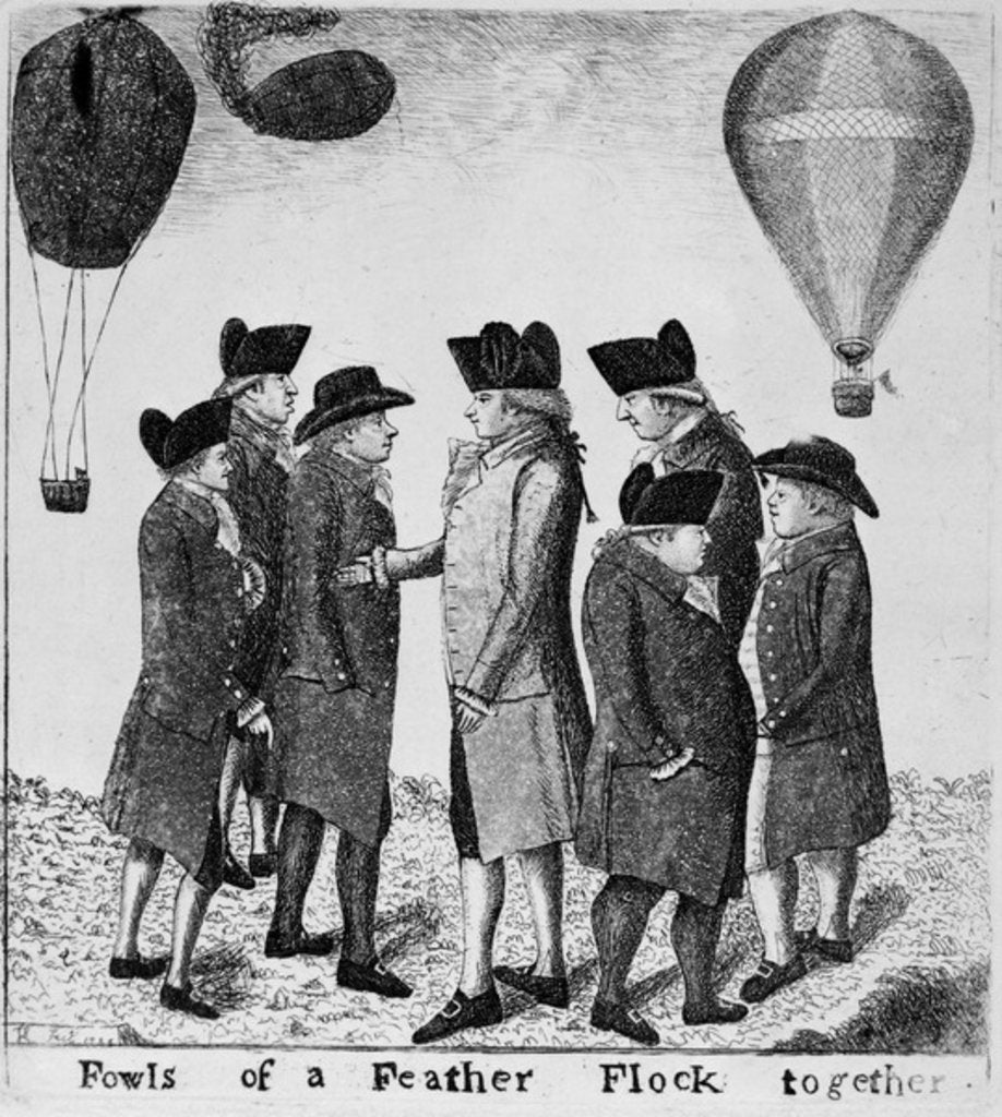 Detail of Fowls of a Feather flock Together, 1785 by John Kay