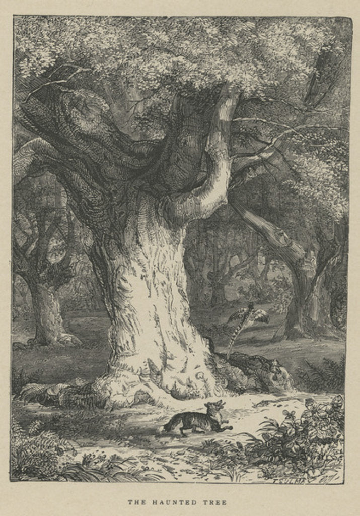 Detail of The haunted tree by Anonymous