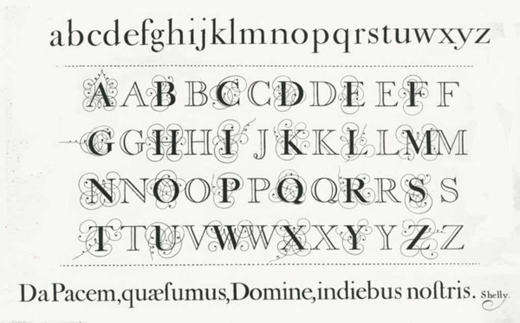 Detail of Specimen typefaces by Anonymous