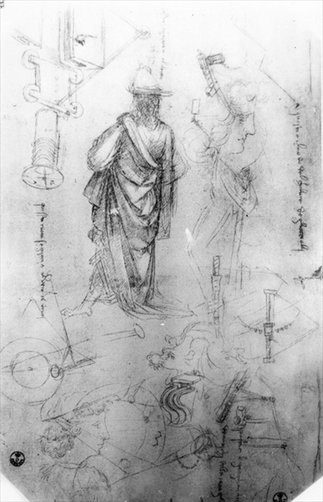 Detail of Studies by Leonardo da Vinci