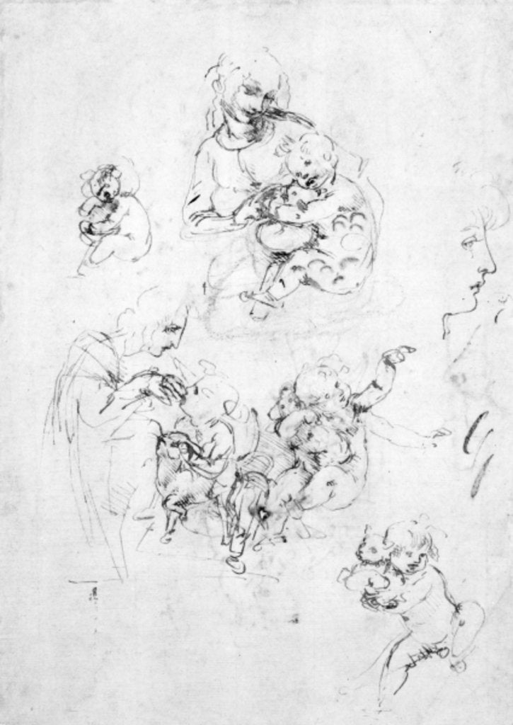 Detail of Studies for a Madonna with a cat, c.1478-80 by Leonardo da Vinci