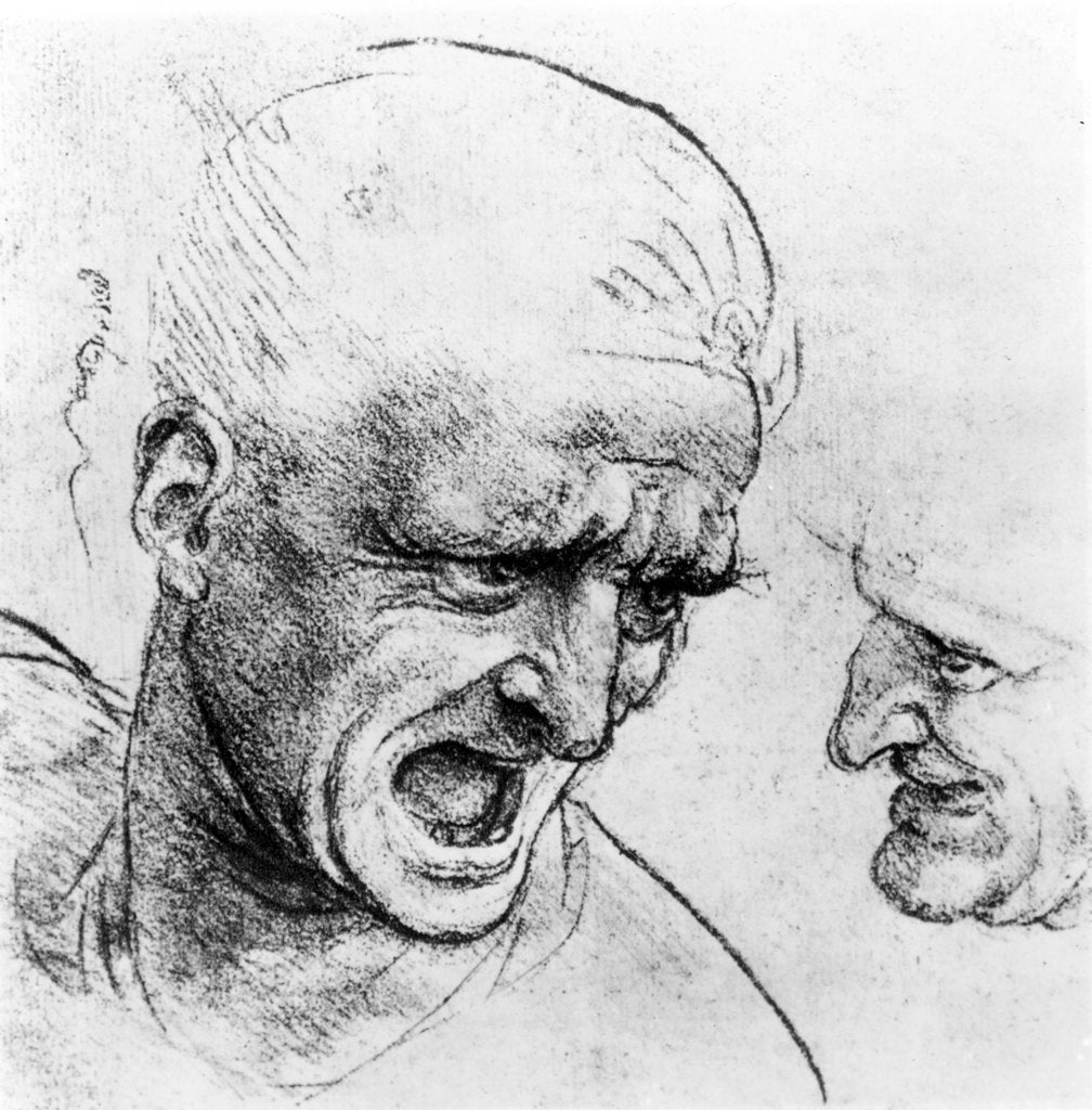 Detail of Studies for the heads of two soldiers in 'The Battle of Anghiari', c.1504-05 by Leonardo da Vinci
