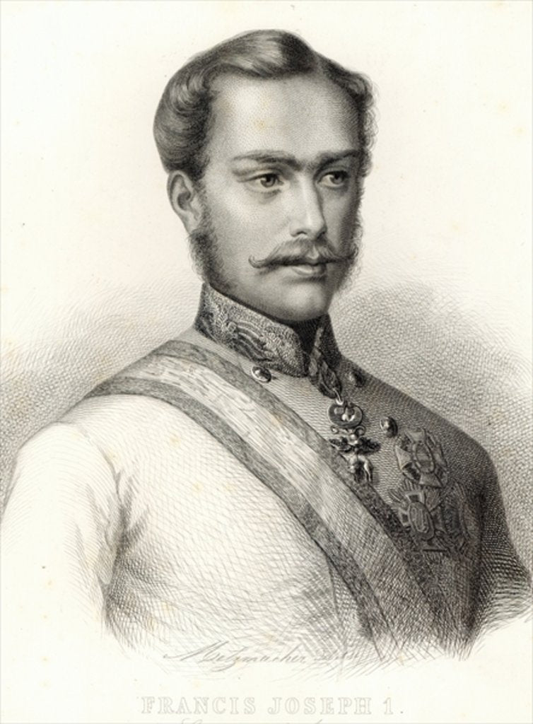 Detail of Franz Joseph I, Emperor of Austria by Austrian School