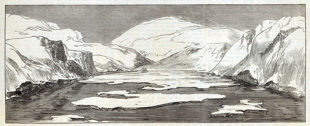 Detail of The North Pole Expedition: Discovery Bay by English School