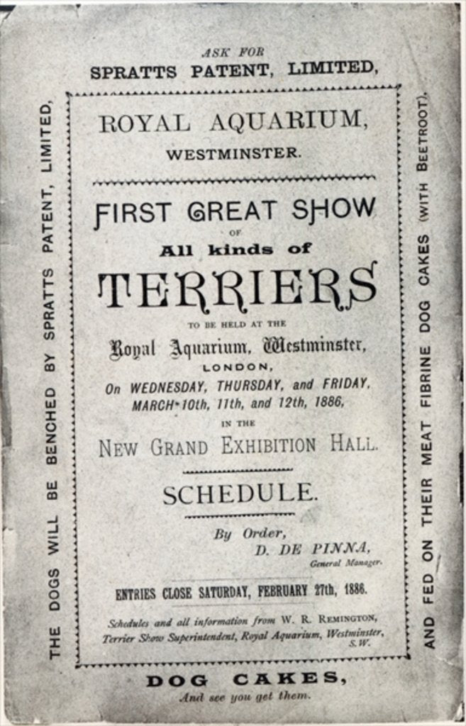 Detail of Poster advertising the Allied Terrier Club Show at the Royal Aquarium, Westminster in 1886 by English School