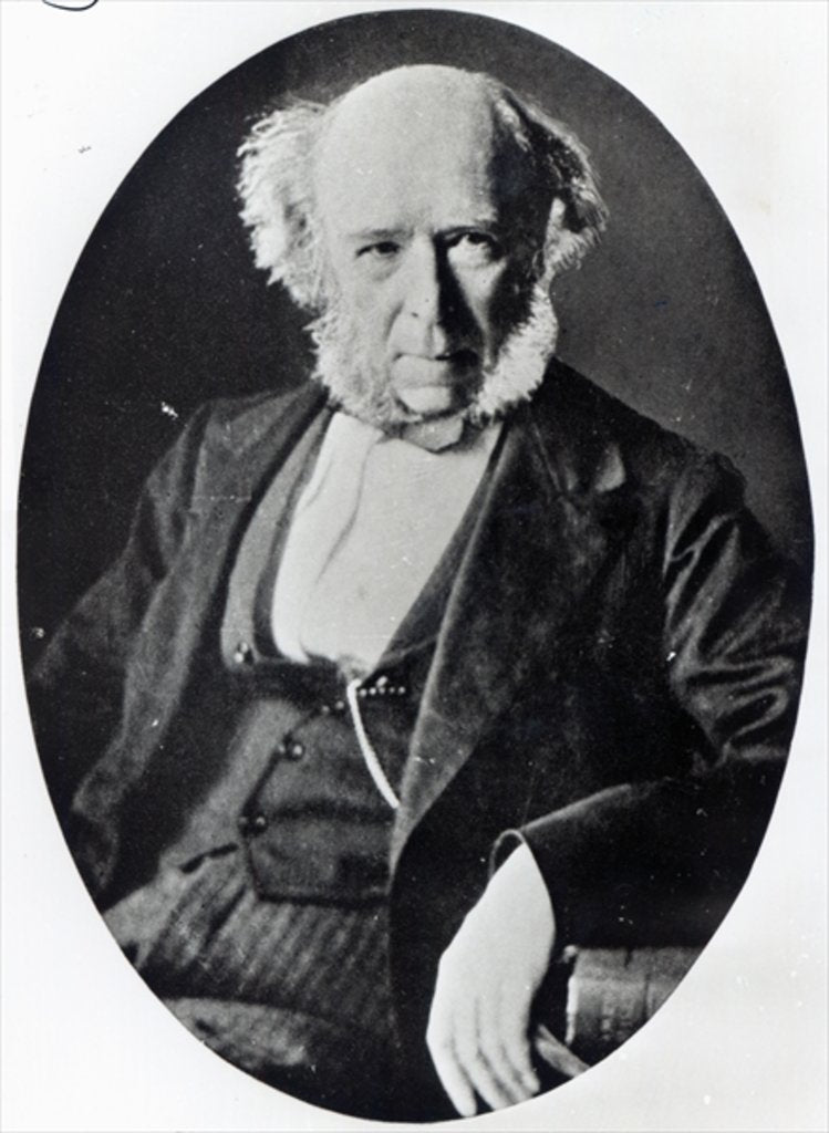 Detail of Herbert Spencer by English Photographer